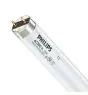 Philips T8 Actinic BL 18W - Blacklight | 60cm