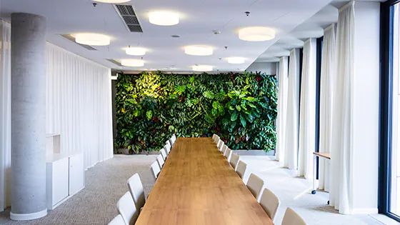ceiling lighting in a meeting room